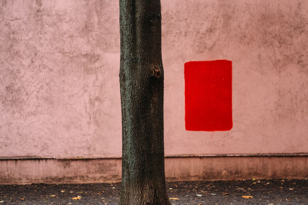 Photograph by Кирилл Трушин