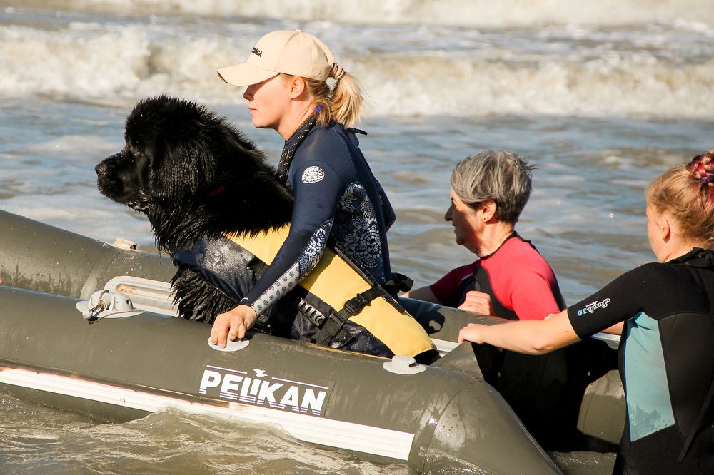 Photograph by Ольга