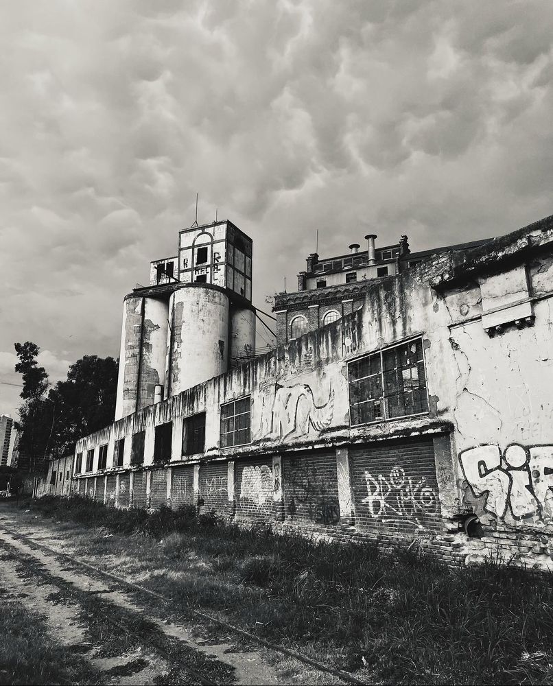 Фотография автора Nereo