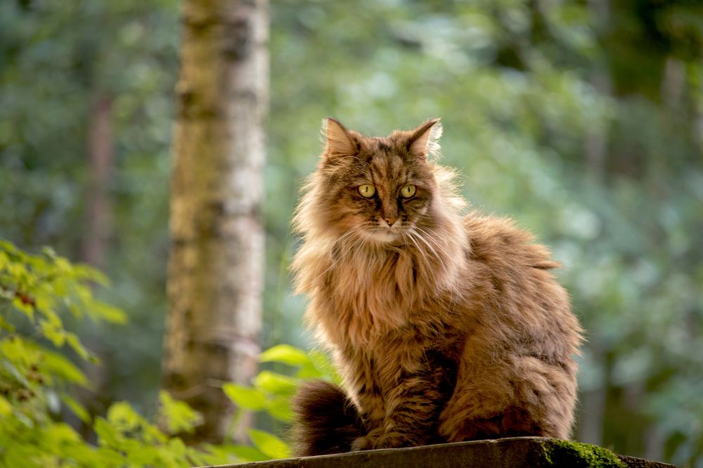 Photograph by Юлия Куликова