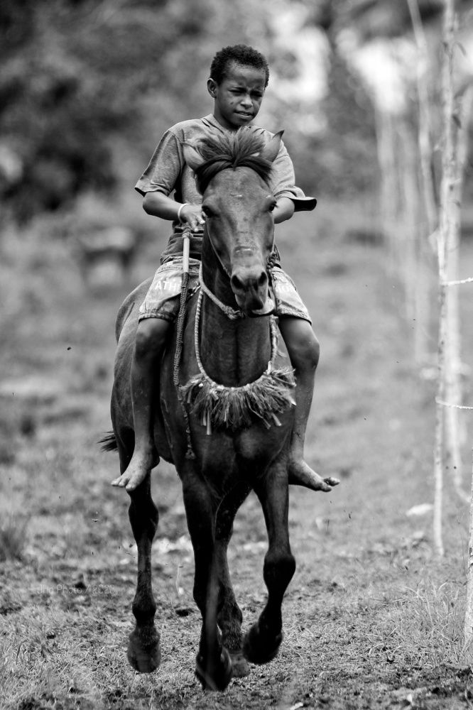 A young boy and he horse
