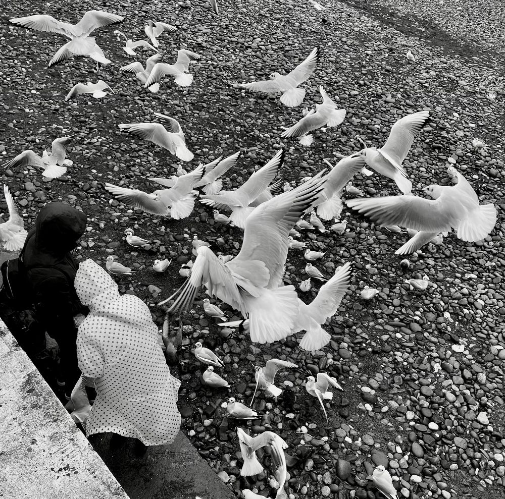 Photograph by Захарова Елена