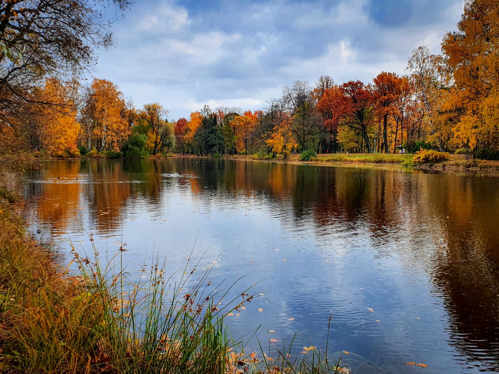 Фотография автора Inna Evseeva