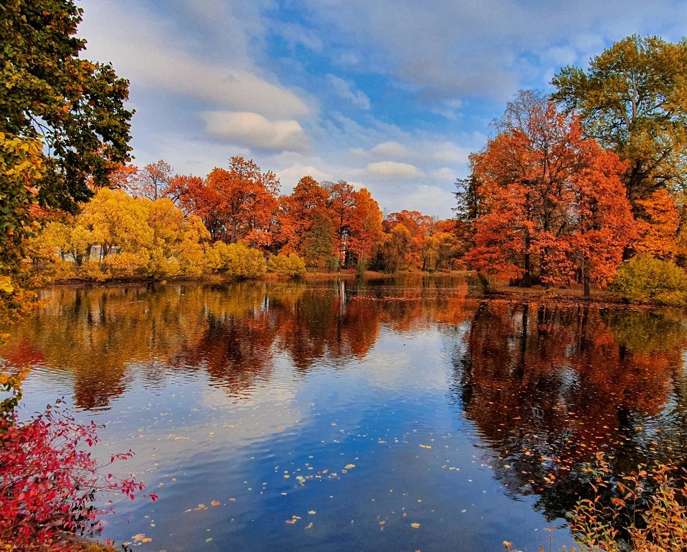 Краски осени.