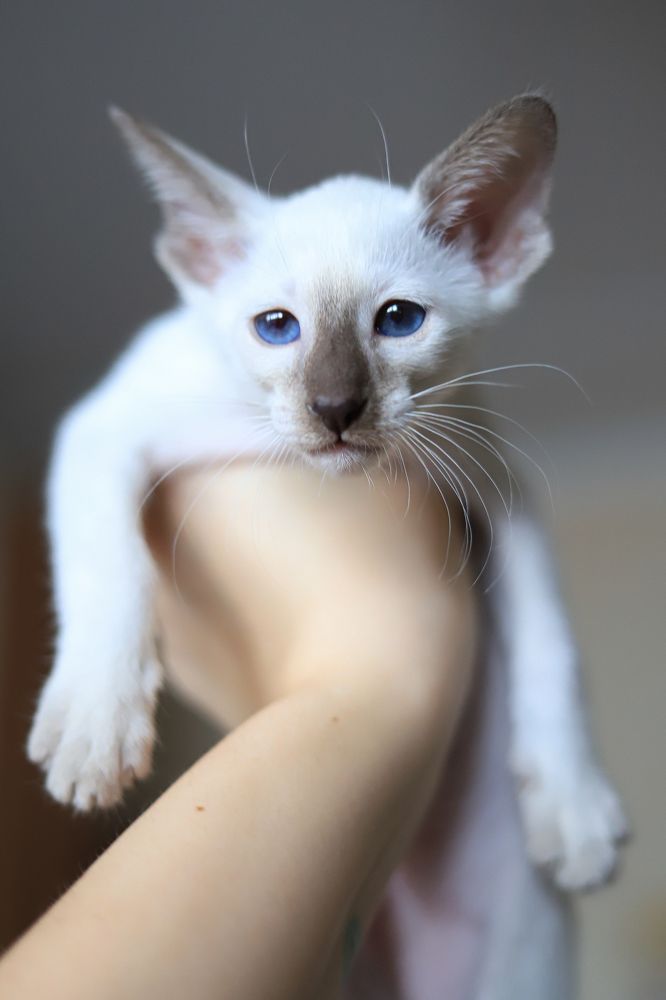 Photograph by Елена Лотник