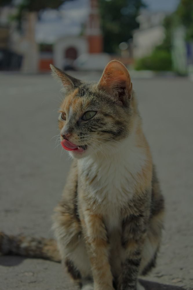 Photograph by Виолетта Митякина