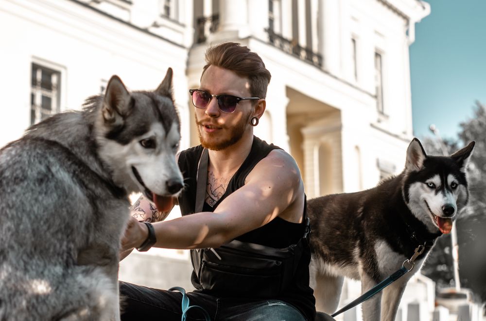 Собачий нянь