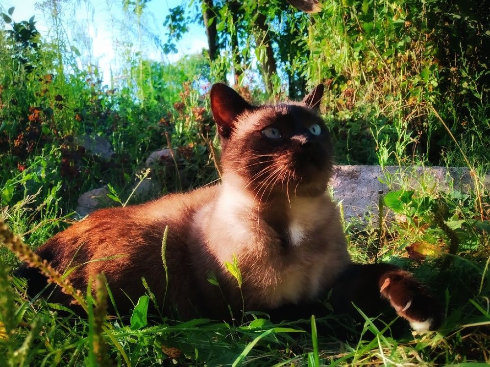 Photograph by Любовь Коровацкая