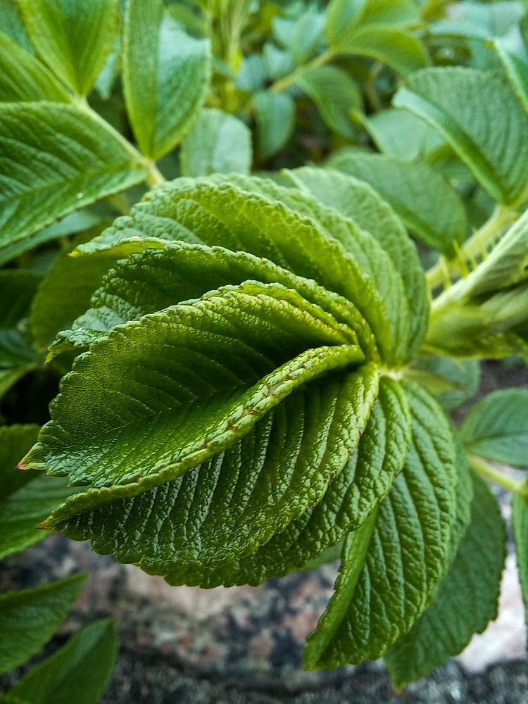 Photograph by Мария Добычина