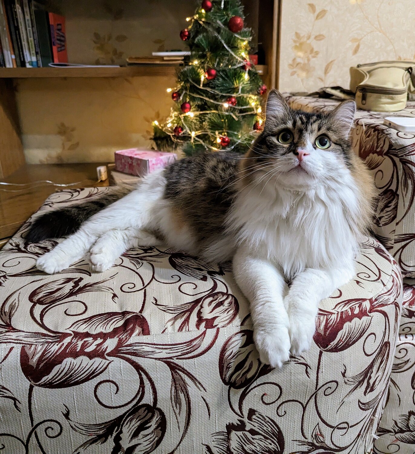 Photo #8789016