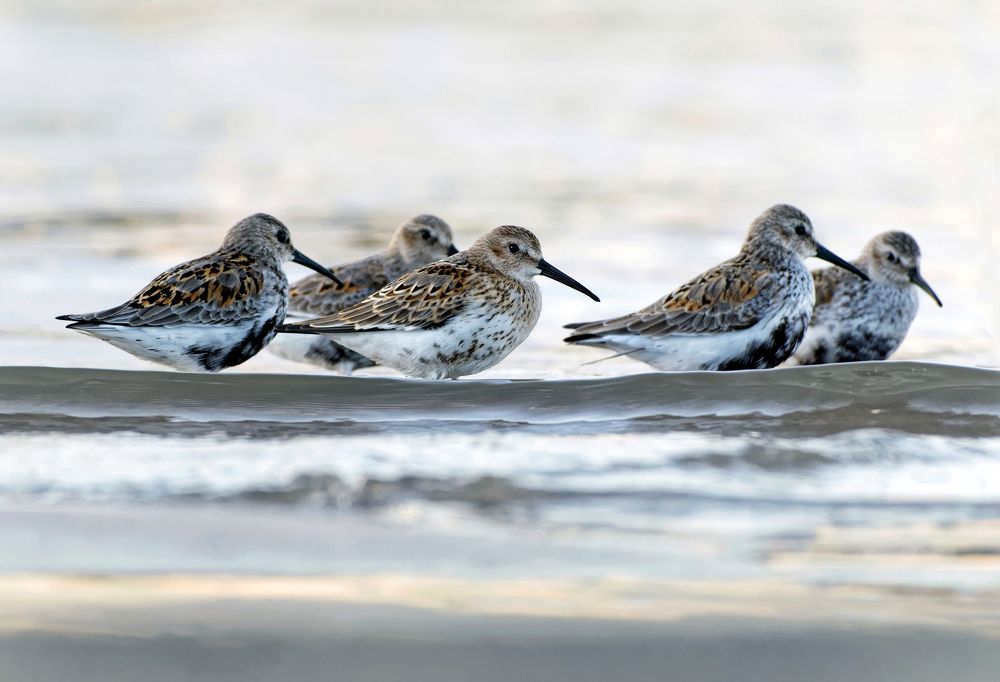 Photograph by Александр Перегудов