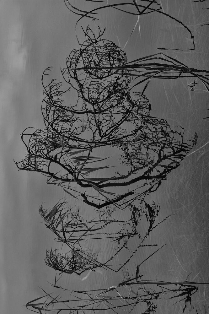 Photograph by Татьяна Абабкова