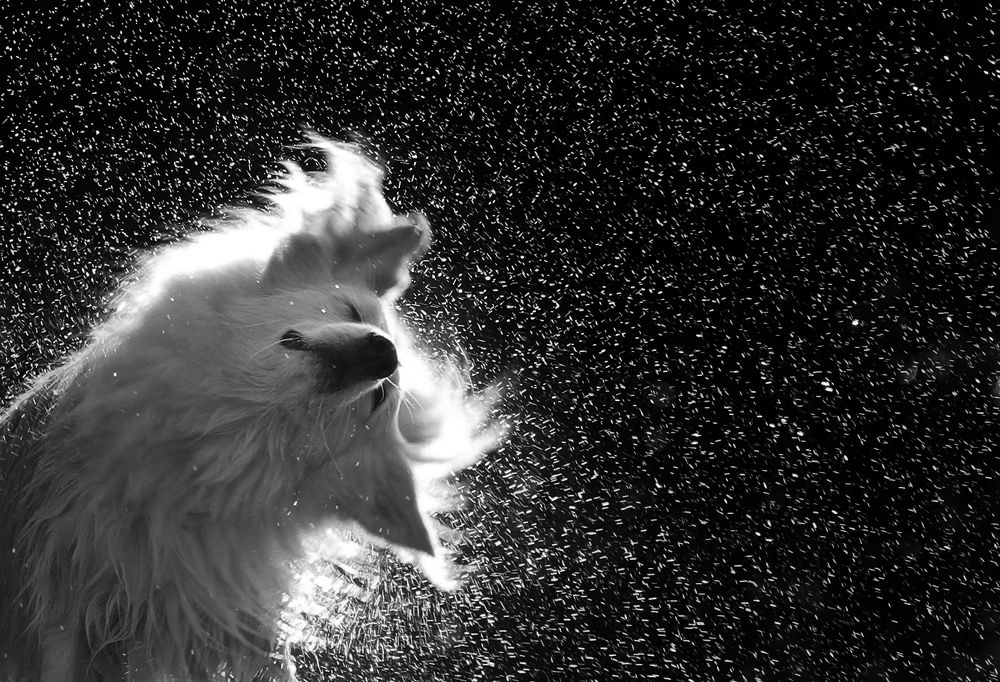 Photograph by Наталья Саляева