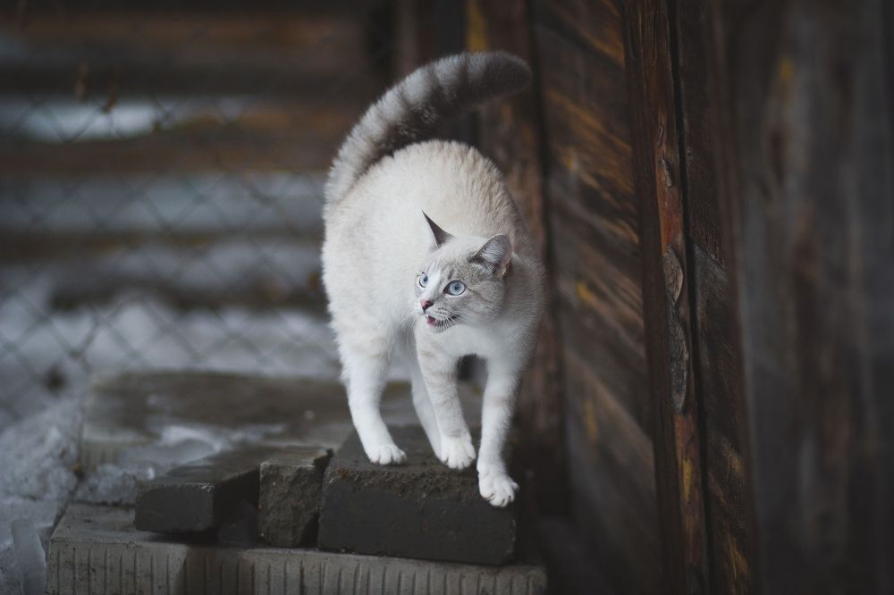 Photograph by Суханова Яна