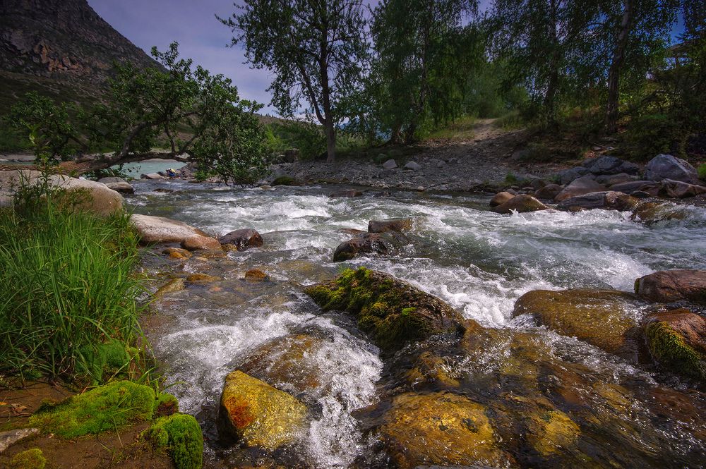 Photograph by Чичкин Валерий