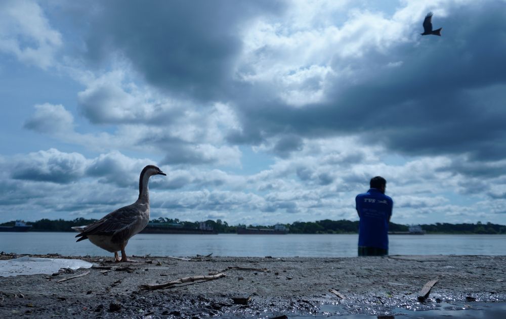 Photograph by Md. Shafiul Islam Mahin