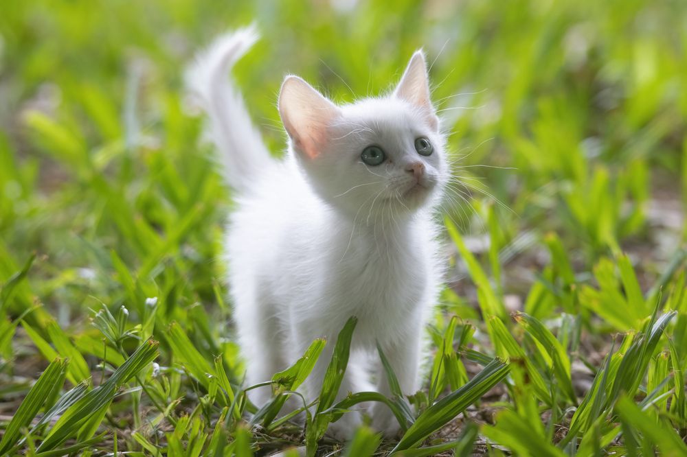 Photograph by Andre Miranda