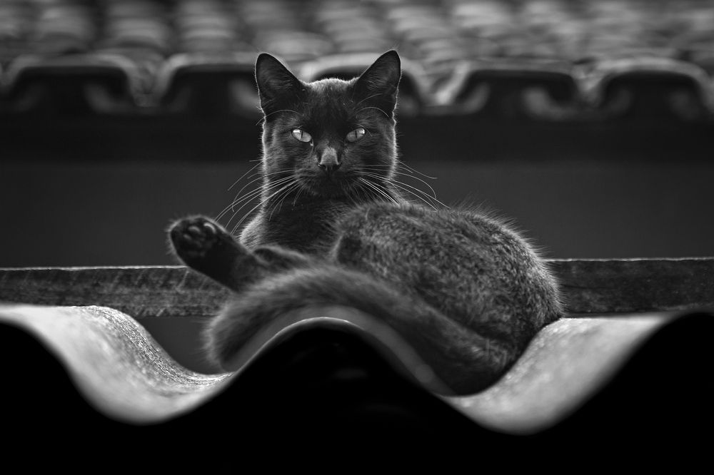 Photograph by Andre Miranda