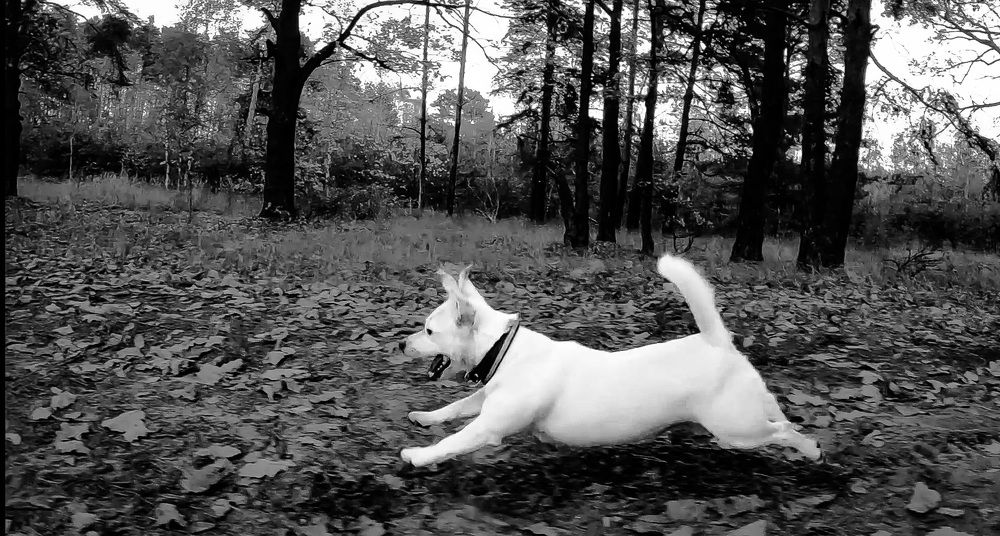 Photograph by Дмитрий Костяков