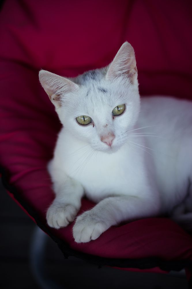 Photograph by Елена Зиновьева