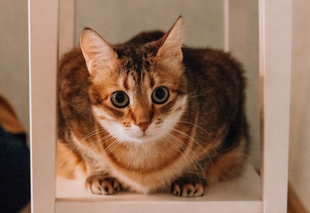 Photograph by Елена Зиновьева