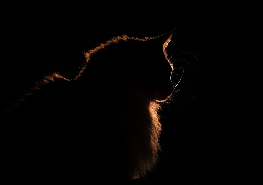 Photograph by Natalja Vasiljeva