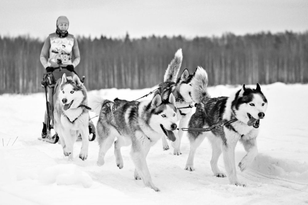 Photograph by Татьяна Степанова