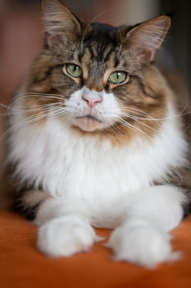 Photograph by Natalja Vasiljeva