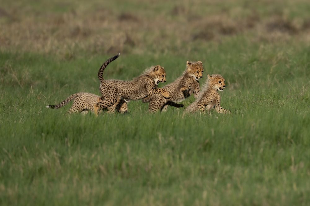 Photograph by Raquel Barao