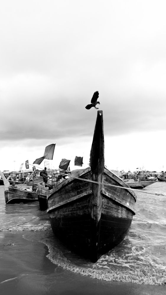 Photograph by Md Shahriar Istiaq Joy