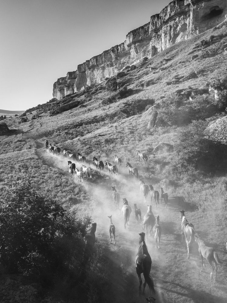 Photograph by Андрей Кривцов