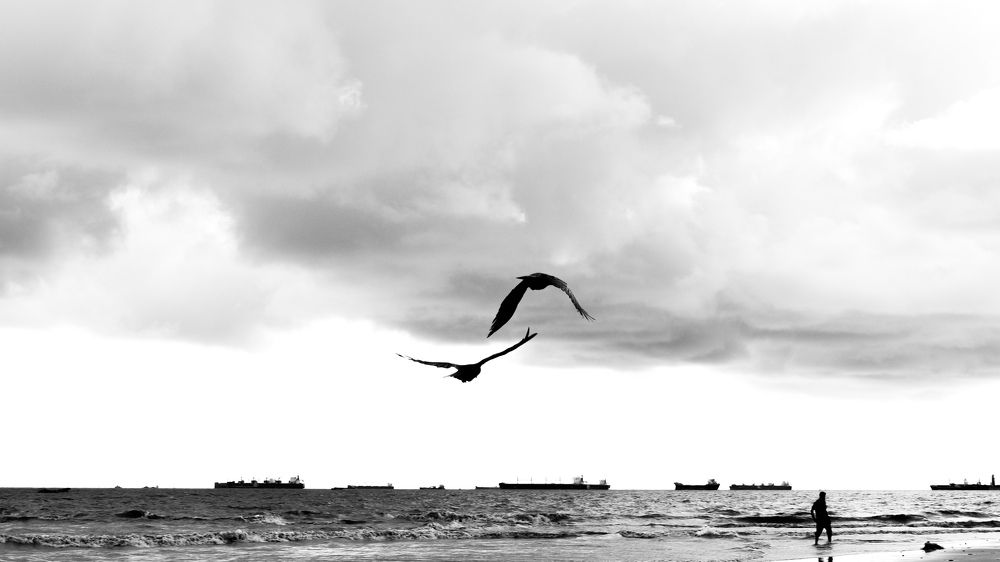 Photograph by Md Shahriar Istiaq Joy