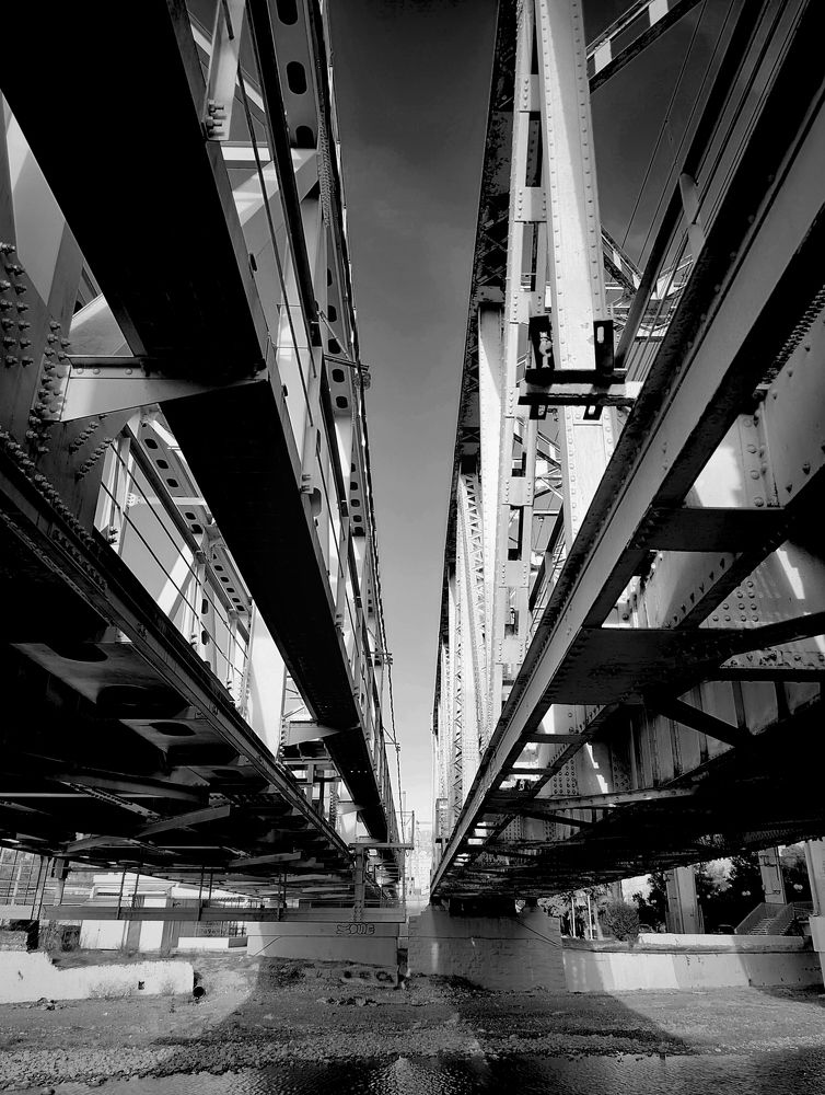 Photograph by Владимир Кривенко