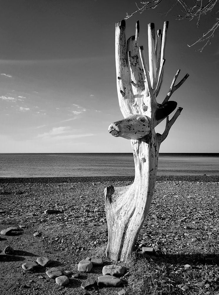 Photograph by 