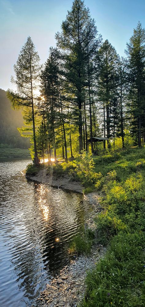 Photograph by Стелла Набиева