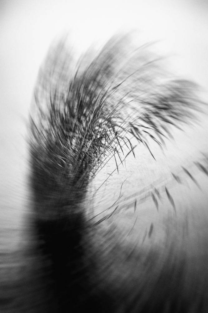 Photograph by Nerijus Startas