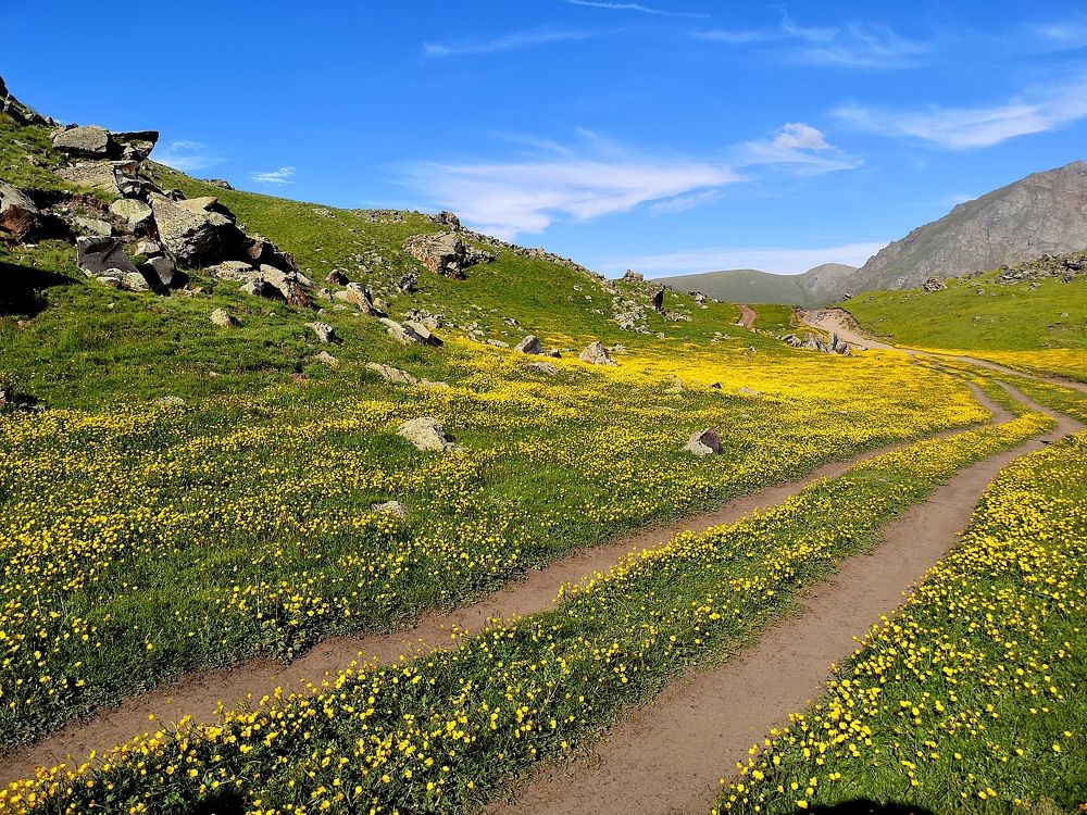 Photograph by Владимир Кривенко