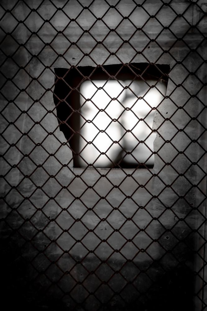 Photograph by Nerijus Startas