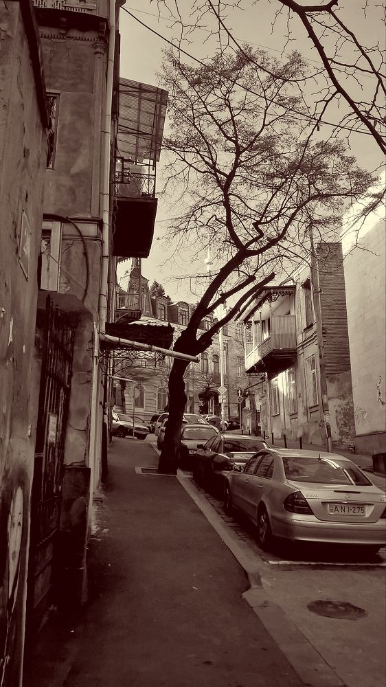 Photograph by Levan A