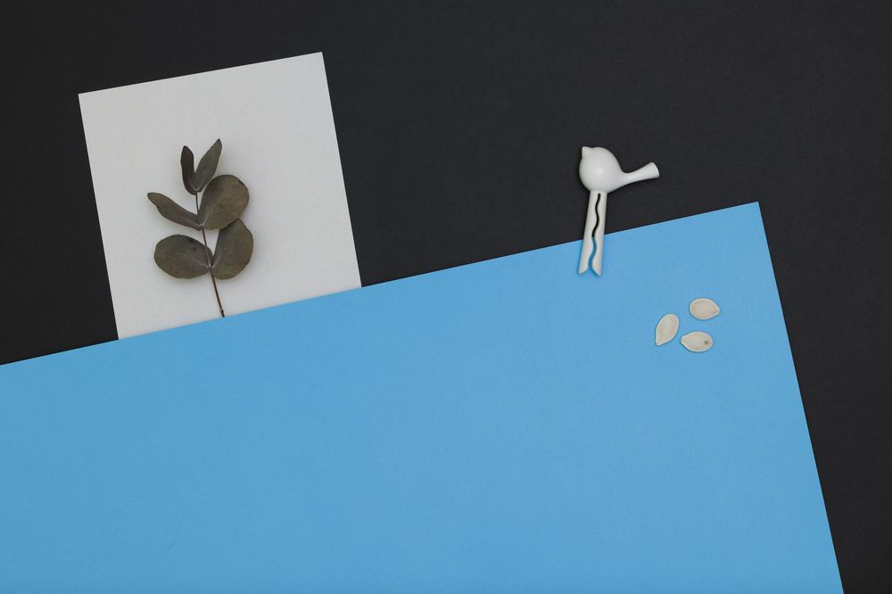 Фотография автора Refat Mamutov