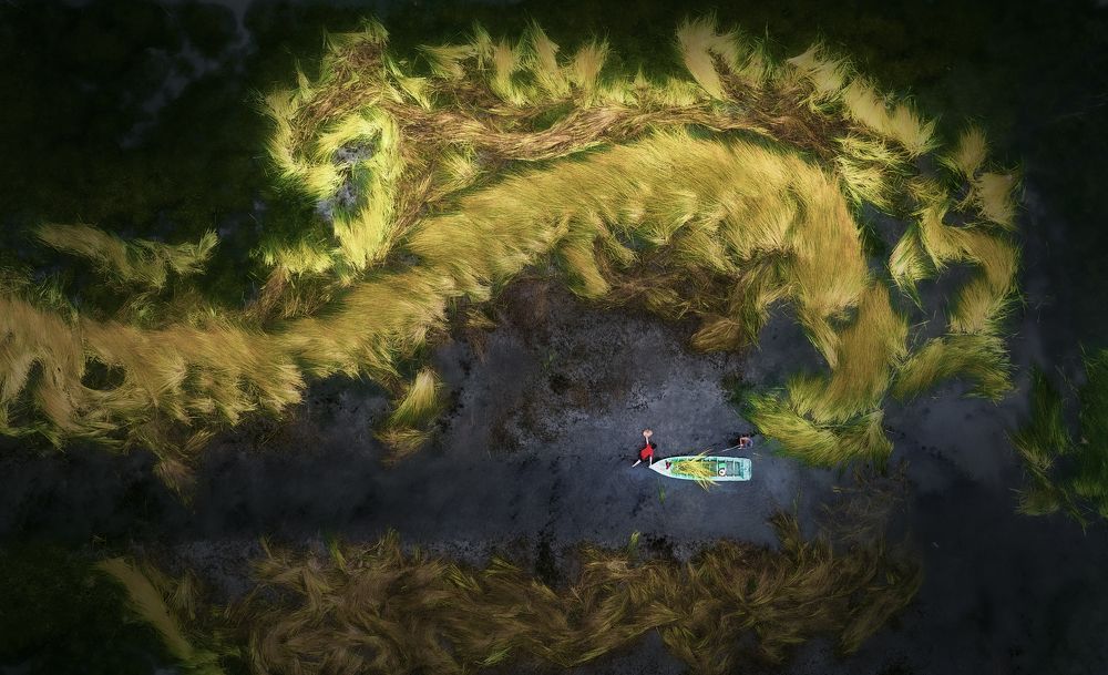 Photograph by Tuấn Nguyễn Tấn