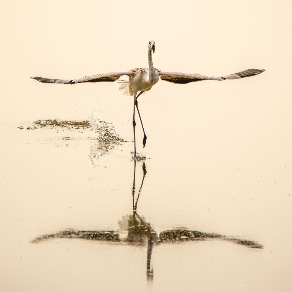 Photograph by Emma Button