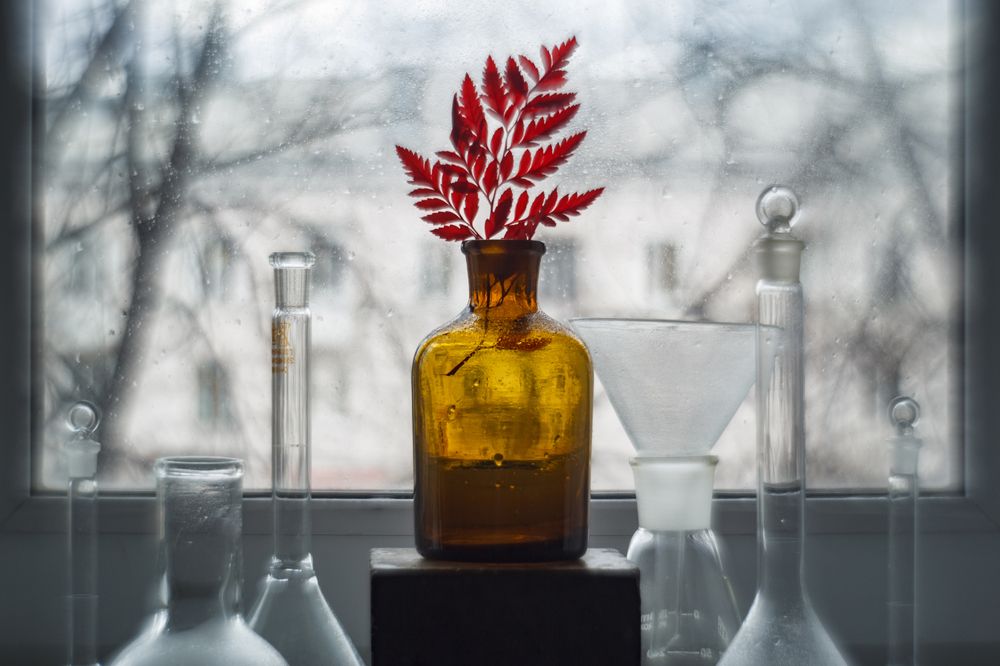 Фотография автора Refat Mamutov