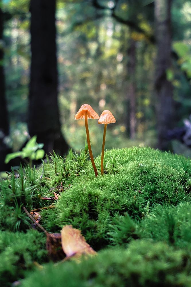 Photograph by  Михаил