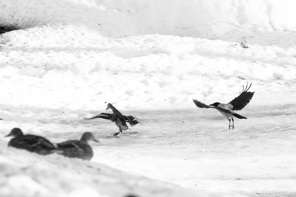 Photograph by Lyuba Moon