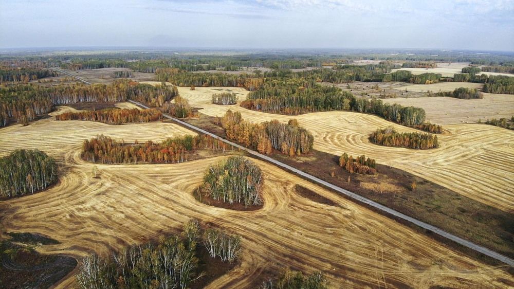 Фотография автора Татьяна Добровольская