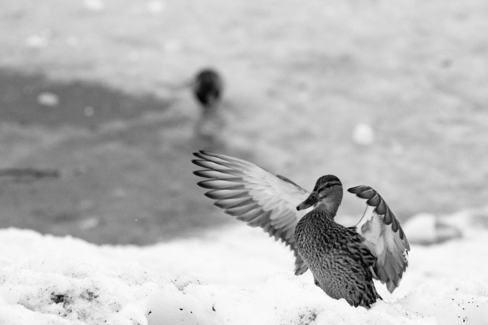 Photograph by Lyuba Moon