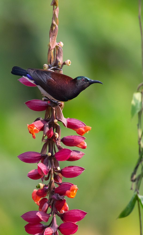Photograph by Saikat De