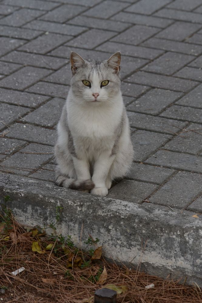 Photograph by Василиса Прекрасная