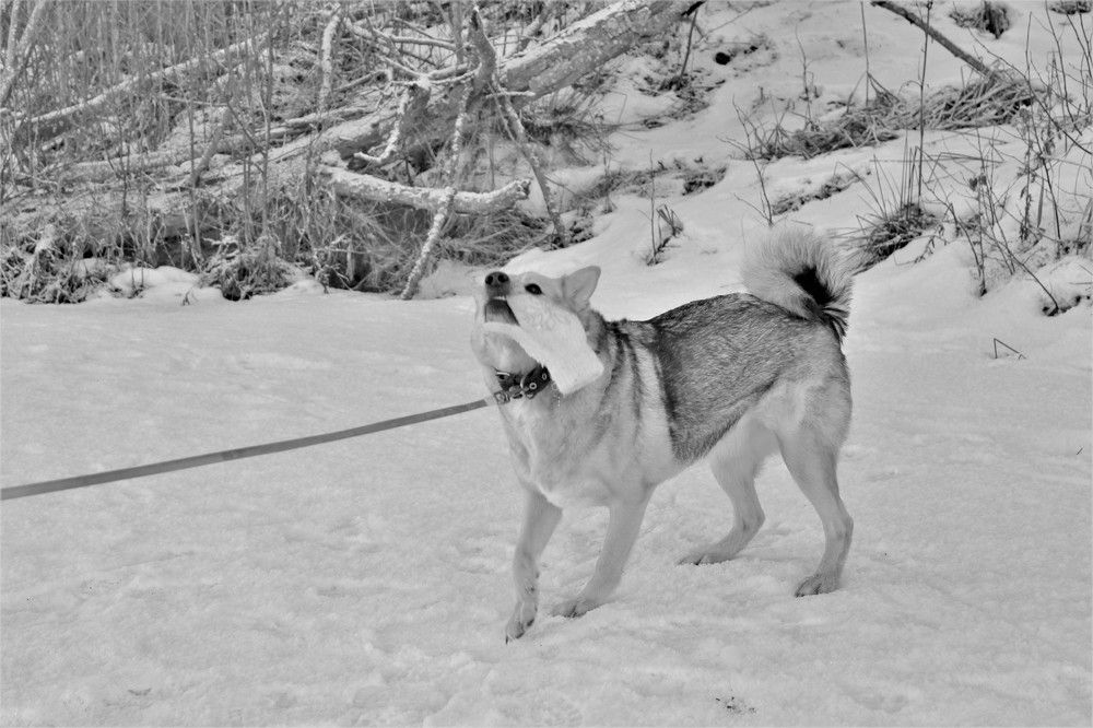 Photograph by Екатерина Апрелева